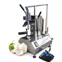 Fabriksprijs Kokosnoot Schilmachine Diamantvormige Kokosnoot/Kokosnoot Schilmachine