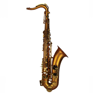 <span class=keywords><strong>Saxophone</strong></span> <span class=keywords><strong>ténor</strong></span> professionnel Bb Eastern Music TS310DJ, entièrement martelé à la main, finition <span class=keywords><strong>vintage</strong></span> satinée or mat, gravé à la main - Product Image 2