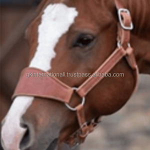 Licou en cuir de cheval confortable et durable en cuir équestre de haute qualité course de chevaux et licou d'entraînement - Product Image 1