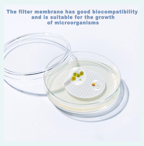 طبق زراعة من WEIAI عالي الجودة للبكتيريا الخلوية والكائنات الحية الدقيقة في المختبر 60 صحن بتري زجاجي شفاف من البلاستيك 90 من WEIAI معقم - Product Image 2