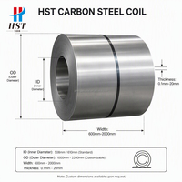 Bobine d'acier au carbone HST S235JR S355JR Q235 Q345, bande d'acier doux laminée à chaud et à froid, fabricant et fournisseur en gros