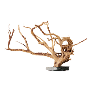 Offre Spéciale : Bois de racine de rhododendron de forme unique <span class=keywords><strong>pour</strong></span> la décoration d'aquariums plantés et l'aménagement paysager aquatique - Product Image 1