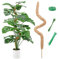 Support de plante en fibre de coco, tuteur en mousse de coco pour plantes grimpantes d'intérieur, bâton de culture en fibre de coco