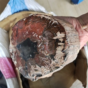 ไม้ฟอสซิลทรงกระบอกขัดเงาธรรมชาติ ขายส่ง หินไม้ฟอสซิลหยาบ ไม้กลายเป็นหิน - Product Image 4