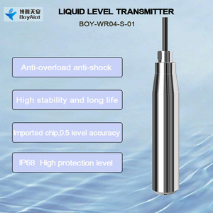 Высокоточный погружной датчик уровня жидкости из нержавеющей стали BOY-WR04-S-01, IP68, с настраиваемым диапазоном, для мониторинга грунтовых вод - Product Image 5