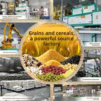 Millet jaune biologique 450g, emballé individuellement en conserve, vente en gros, fraîchement récolté, porridge céréalier corsé et parfumé
