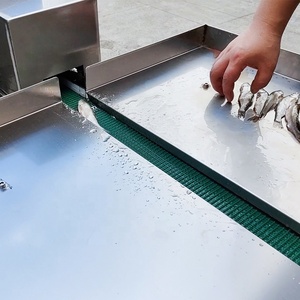 Haute efficacité 150g petit poisson <span class=keywords><strong>sardine</strong></span> viscères éviscérateur éviscération enlever la machine de nettoyage - Product Image 3