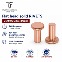 Rivets plats personnalisés TianFang pour quincaillerie d'instruments de musique, pièces en laiton, révision des plans et approvisionnement en gros, conception gratuite