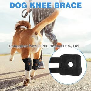 Winter Pet Dog Knee Joint Brace ACL Lágrima e Luxação Proteção Reabilitação Ajuda para Sala de estar Uso - Product Image 3