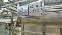 Ligne d'abattage de volailles compactée 300-500BPH, installation facile pour petite ferme avicole