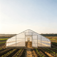Serre de jardin moderne 25x60 pieds, tente de culture préfabriquée en acier galvanisé, alternative imperméable pour la culture à domicile dans la cour, facilement assemblable