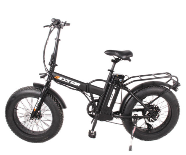 Folding E-bike 1000w Electric Mountain Bicycle High Powerful