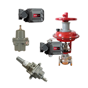 Reguladores de Filtro Serie DVC6200 y 67CF con Control Chino, DVC6200 Control Chino, Válvula de Control Chino DVC6200 - Product Image 6