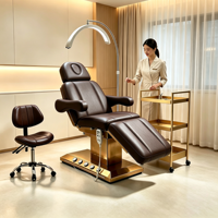 Fauteuil de beauté électrique à 3 moteurs avec base dorée, réglable, pour soins du visage et tatouages, avec tabouret, chariot de beauté et lumière LED