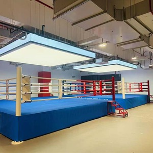Anneau de combat de boxe professionnel personnalisé en usine anneau de boxe de compétition d'entraînement de boxe Thai MMA - Product Image 2