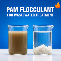 Zhendong Zuckerindustrie Anionisches Polyacrylamid PAM Flockungsmittel/Koagulationsmittel 99% Reinheit Saftklärungsmittel