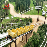 Manège à prix abordable pour parc d'attractions, train sur rail, attraction pour adultes, grande montagnes russes, manège familial pour jardin à thème, à vendre