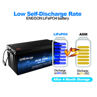 Batterie rechargeable au lithium-ion Batterie solaire Lifepo4 Batterie OEM 12V 200ah ABS IP65 Jouets pour enfants Voiture électrique Entrepôt UE Jouets