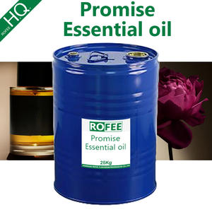 <span class=keywords><strong>Promise</strong></span> Kokulu Fabrika Doğrudan Yüksek Konsantre Parfüm Esansiyel Yağları Kokular Yağ - Product Image 4