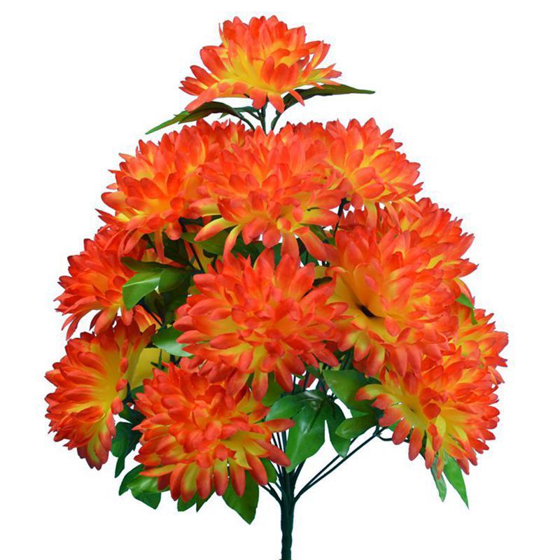 naranja 07