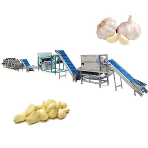 Stainless Steel Wet Garlic Bulb Breaker Sheller Seed Peeling Machine Garlic Processing Line
