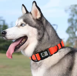 Kalung hewan peliharaan lapisan PVC anjing kasual B-<span class=keywords><strong>PET</strong></span> Model Guangdong terlaris lintas batas - Product Image 3