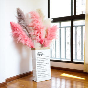 Pampas rosas perfectas para decoración del hogar, flores secas grandes y esponjosas, hierba Natural seca - Product Image 5