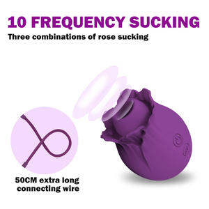 2024 Perangsang Mengisap Klitoris Tahan air Mengisap Bergetar Penggetar Mawar Mainan Seks untuk Wanita - Product Image 5