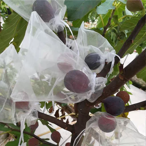 ถุงตาข่ายป้องกันแมลงสำหรับผลไม้ ผลิตจากพลาสติก HDPE บริสุทธิ์ 100% <span class=keywords><strong>ขาย</strong></span>ดีในจีน/ถุงตาข่ายป้องกันแมลงสำหรับมะม่วง - Product Image 5