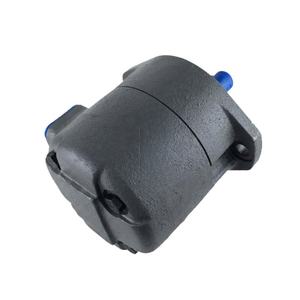 ปั๊มแบบเคลื่อนที่คงที่ ซีรีส์ IVP40-F-12 IVP40-F-15 ปั๊มใบพัดสำหรับอุตสาหกรรมระบบอัตโนมัติ IVP40-F-26 - Product Image 6