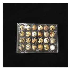 24 Œufs <span class=keywords><strong>de</strong></span> <span class=keywords><strong>Caille</strong></span> Écologiques en Plateau Alvéolé en Plastique Jetable <span class=keywords><strong>Vente</strong></span> en Gros pour Usage Agricole Emballés en Cartons - Product Image 5