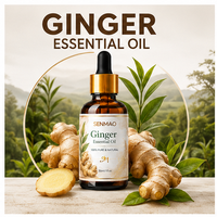 Huile essentielle de gingembre 100% pure et naturelle, qualité aromathérapie premium, pour diffuseur, massage, soin de la peau