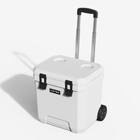 Grande glacière de 24L Boîte isotherme dure professionnelle moderne Boîte isotherme de coffre à glace Vente à chaud Portable pour l'extérieur