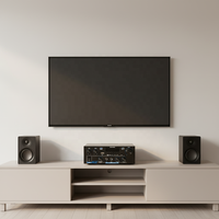 AK 55 Metal USB 70W*2 HiFi İki Kanallı Ev Amfisi ve Medya Müzik Çalar