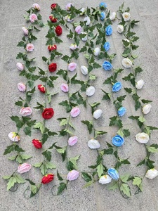 Pergolas grimpantes, fleurs noires, vigne bleue, rose campagne, rouge, Rosa Schizophragma, ombrage, glycine Jeanne et roses - Product Image 4