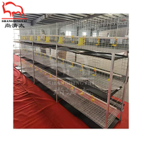 Poulailler à 3 étages galvanisé à chaud cage pour poulets de chair équipement de ferme avicole cages à batterie pour poulets de chair
