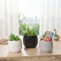Pot de fleurs en céramique à rayures verticales, pot à succulentes, jardinière décorative simple pour plantes vertes d'intérieur, balcon, jardin