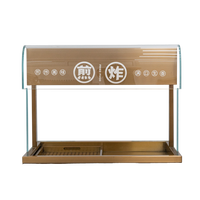 Équipement de chauffage alimentaire facile à utiliser RKMF-T2B, armoire de présentation isolante pour aliments frits