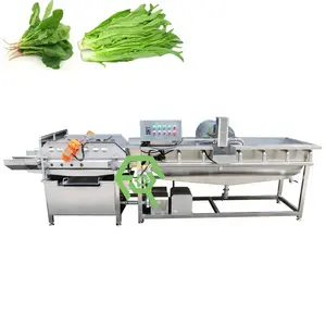 Commercial Fruit and vegetable cleaning machine Vortex vegetable washing machine