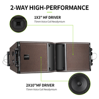RAYHAYES KARA 210 Subwoofer passif professionnel portable en contreplaqué de bouleau écologique à double aimant néodyme, impédance 8 ohms, puissance de sortie 2000W