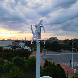 <span class=keywords><strong>Mini</strong></span> turbina eolica 1kw 2kw 3kw 5kw generatore di energia eolica turbina prezzo generatore <span class=keywords><strong>eolico</strong></span> mulino a vento maglew - Product Image 5