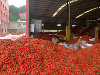 Salle de séchage SC-HP800 à pompe à chaleur à haute température-Multi-usages pour herbes, fruits de mer et fruits, entretien à vie