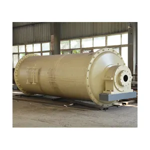 Mini gold processing plant 10 tons per hour ball mill for sale in Tanzania