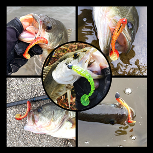 Leurre de pêche souple Spinpoler 7cm 9cm 11.5cm, type Stick Worm et Paddle Tail, en plastique, pour eau salée, pour la pêche au bar et <span class=keywords><strong>à</strong></span> la <span class=keywords><strong>truite</strong></span> - Product Image 3