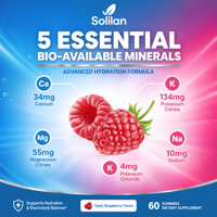 Gummies d'électrolytes hydratants Solilan Factory Direct pour la fonction musculaire et la récupération, complément d'hydratation