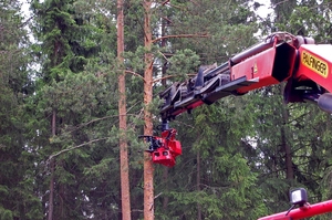 <span class=keywords><strong>GS500</strong></span> Grapple Saw Excavadora Árbol Cortador Árbol Cizalla con 500mm Diámetro de corte - Product Image 6