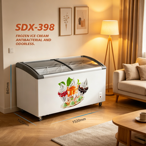 Congelatore Solare DC 12V 24V per Carne, Congelatore a Pozzetto 2025 per Casa e Supermercato, Vendita Calda per Esterni - Product Image 6