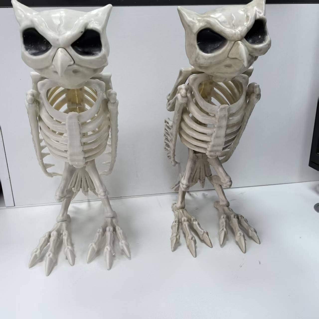 Halloween Animal Crazy Bonez Skeleton Owl for Ghost Festival Party