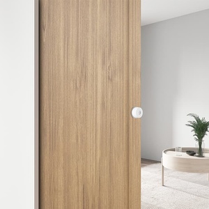Kits de cadre de <span class=keywords><strong>porte</strong></span> de poche sur rail en aluminium avec clous en bois enveloppés d'acier pour mur de 2x4 - Product Image 6