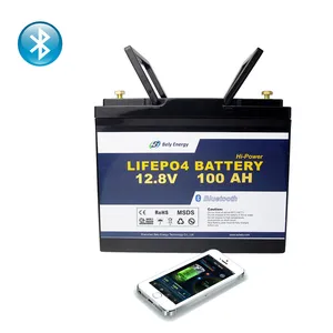 LiFePo4 Paket Baterai Lithium Ukuran Kecil 12V 100Ah dengan Pemantauan Bluetooth dan Perlindungan BMS untuk Energi Surya Yachat RV